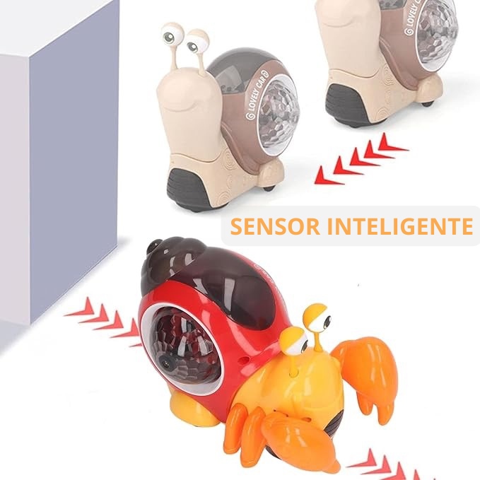 CANGREJO FIESTERO| LUCES, MOVIMIENTO Y MÚSICA