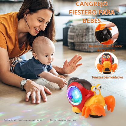 CANGREJO FIESTERO| LUCES, MOVIMIENTO Y MÚSICA