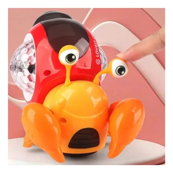 CANGREJO FIESTERO| LUCES, MOVIMIENTO Y MÚSICA