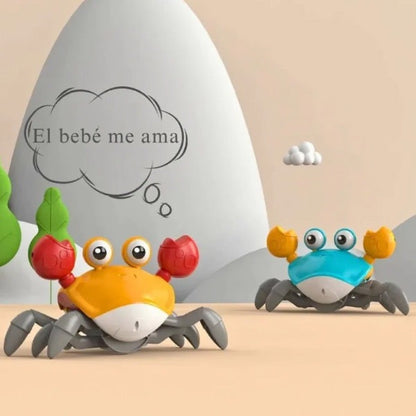 CANGREJO DIDÁCTICO🦀🫧|NUEVO EN RD 🇩🇴